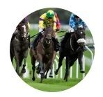 Logo de Galgos y Caballos