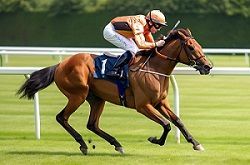Jockey en caballo ganador en carrera