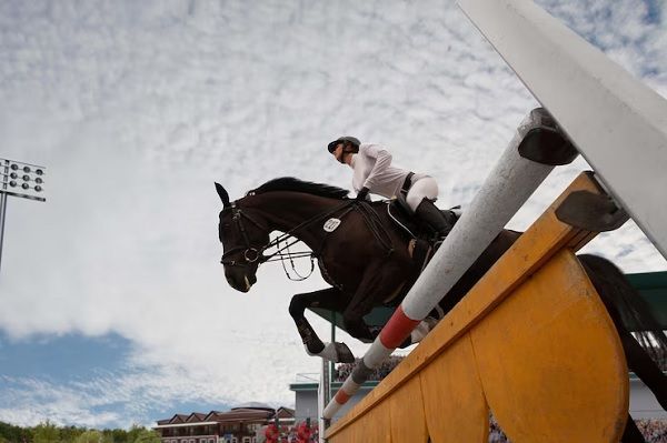 Consejos para apostar en carreras de caballos 2